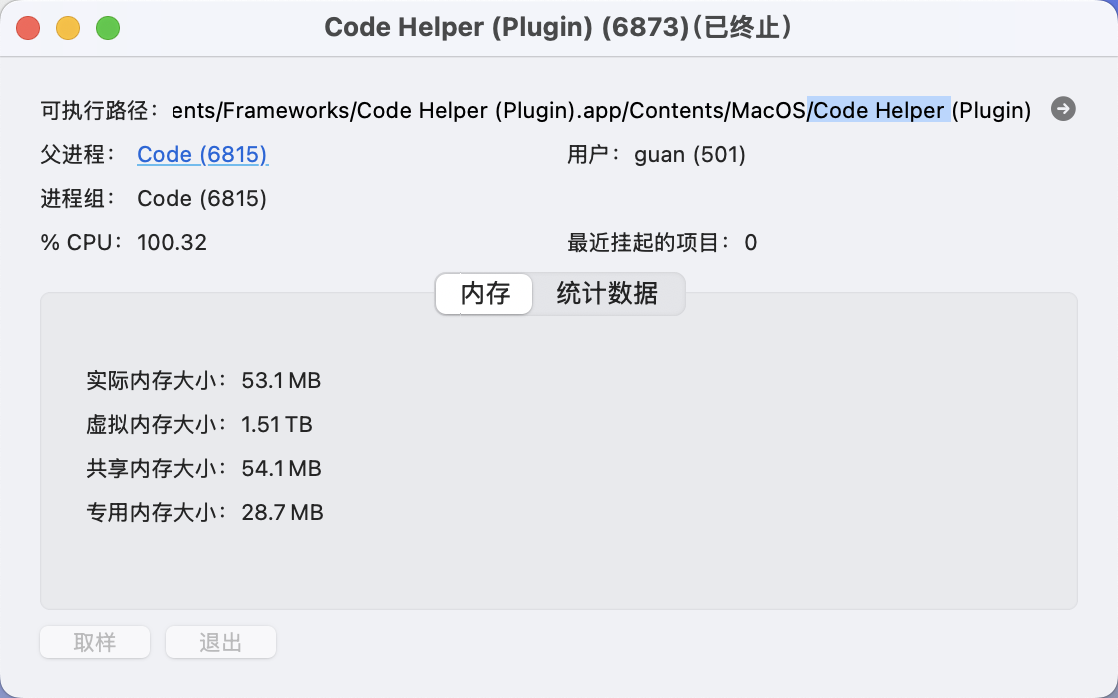 Code Helper 进程